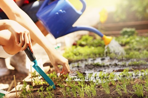 The image depicts a gardener watering young plant seedlings in a neatly maintained garden bed, with a focus on a pair of hands tending to the plants using a small trowel. The garden features dark, healthy soil with evenly spaced, vibrant green seedlings emerging in rows, suggesting recent planting or ongoing growth. In the background, a blue watering can is visible, gently pouring water onto a patch of soil, emphasizing regular watering care. The outdoor environment appears bright and sunny, with natural daylight highlighting the lushness of the plants and the neatness of the garden layout. The surrounding area includes a grassy lawn, partially visible at the edge of the garden bed, and some distant greenery indicating a well-kept outdoor space typical of residential gardens in Wimbledon or nearby areas. This scene aligns with professional gardening and landscaping practices, supporting services such as lawn care, plant nurturing, and garden maintenance offered by landscapers in Wimbledon, ensuring a healthy, vibrant outdoor space.