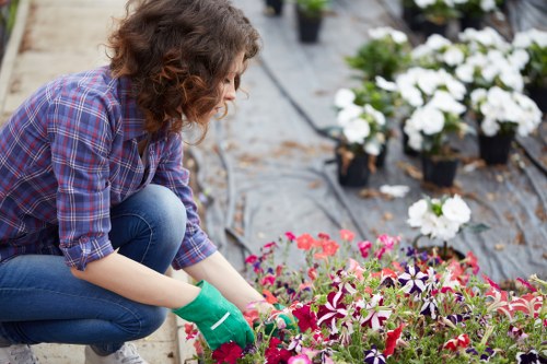 A woman wearing a plaid shirt, blue jeans, and green gardening gloves is kneeling on a black plastic mulch layer in a garden, actively planting or tending to a variety of colorful flowering plants, including pink, purple, and white blooms, with several potted plants and flower beds visible in the background. The garden features a well-maintained grassy area with a border of flowering plants and shrubs, and the scene is set outdoors under natural light, suggesting a mild weather day suitable for gardening activities in Wimbledon, UK. The image highlights manual gardening work aligned with professional landscaping and garden maintenance services offered by Landscapers Wimbledon.