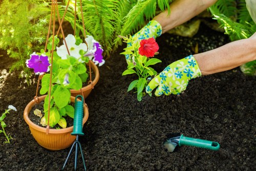 The image shows a gardener's hands wearing colourful floral-patterned gloves, planting a red flowering plant into dark, well-prepared soil within a garden bed. To the left, there are two hanging terracotta pots filled with vibrant purple and white petunias, supported by a wooden or metal frame. Nearby, a gardening fork and a pair of pruning shears are placed on the soil, indicating ongoing planting work. In the background, lush green ferns and other foliage partially frame the scene, suggesting a vibrant, healthy outdoor garden space typical of a residential garden in Wimbledon. The scene is illuminated by natural daylight, highlighting the rich textures of the garden bed, the dark soil’s moist appearance, and the bright colours of the flowers and gloves, reflecting a well-maintained outdoor area suitable for gardening services by Landscapers Wimbledon.