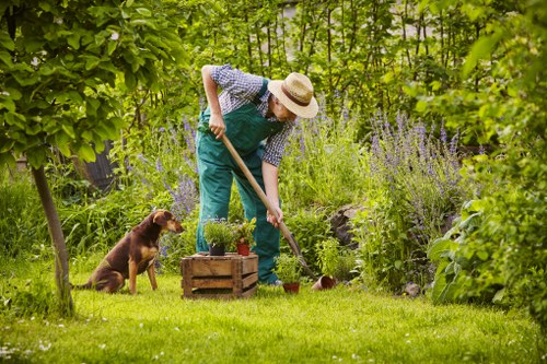 A gardener wearing a straw hat, plaid shirt, and green overalls is tending to a lush garden in Wimbledon, with a focus on planting and maintaining the outdoor space. The garden features a well-maintained grassy lawn in the foreground, bordered by various green shrubs, flowering plants, and dense foliage, including tall purple lavender bushes. The gardener is using a small trowel to work on a wooden box filled with potted plants on the green grass. To the left, a brown dog is sitting attentively, observing the gardening activities amidst trees and natural plantings. In the background, mature trees and a variety of greenery create a shaded, peaceful environment typical of a residential garden in Wimbledon, south-west London, showcasing elements that include lawn, flower beds, and outdoor greenery, all aligned with professional gardening and landscaping services offered by Landscapers Wimbledon.