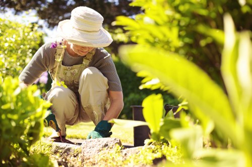 Sustainable hedge trimming practices in a Wimbledon garden