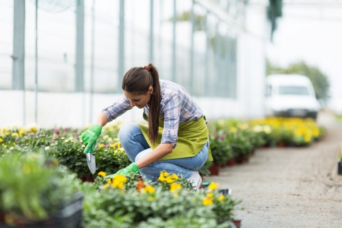 A young woman with long brown hair tied back, wearing a plaid shirt, bright green gardening apron, and gloves, is kneeling on a paved pathway in a greenhouse or garden center in Wimbledon. She is tending to small flower beds that contain a variety of flowering plants, primarily yellow and purple blooms, bordered by dark soil. Behind her, there are additional rows of potted plants and flowers, as well as modern glass walls and a ceiling structure that allow natural light to illuminate the space. The garden area appears well-maintained and vibrant, with organized planting beds alongside the pathway, which is made of concrete or stone. In the background, blurred trees and vehicles suggest an outdoor setting adjacent to the greenhouse. This scene illustrates a professional gardening activity within a commercial nursery or garden centre environment, aligning with landscaping and horticultural services available in Wimbledon.