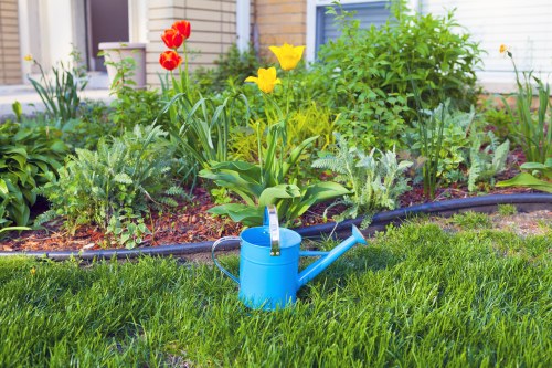 A well-maintained backyard garden featuring a lush, green lawn in the foreground with dense, evenly cut grass. Behind the grass, there is a flower bed bordered by black edging, containing various flowering plants including bright red and yellow tulips and tall green leafy plants. A light blue watering can with a long spout and handle is placed on the grass, suggesting ongoing garden care. The background shows a part of a house with white exterior walls and a window, indicating a residential outdoor space in Wimbledon. The overall scene appears to be during daylight with soft natural lighting, highlighting the vibrant plant colors and healthy soil, reflecting professional gardening and landscaping maintenance typical of services offered by Landscapers Wimbledon.