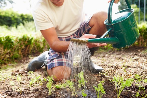 A person wearing a light beige T-shirt and plaid shorts is kneeling on a garden soil bed, watering young green seedlings with a green watering can. The garden features a well-maintained lawn with lush, green grass in the background, bordered by a neatly trimmed hedge. There are larger plants or shrubs further back, and the scene is illuminated by natural daylight, suggesting a clear, sunny day. The garden appears to be in a backyard or outdoor space designed for gardening activities, with visible signs of ongoing planting or cultivation work. This setup reflects typical elements of residential gardening services in Wimbledon, including soil preparation, planting, and watering tasks, as performed by landscapers or gardening professionals such as those at Landscapers Wimbledon.