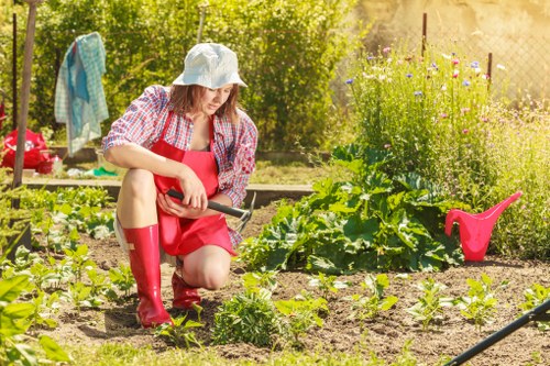 A woman wearing a sun hat, red rubber boots, and a red apron is kneeling in a well-maintained garden, tending to young plants that are growing in neatly arranged beds on a sunny day. The garden features a variety of leafy greens and other vegetables, with dark, healthy soil visible between the plants. In the background, there are green trees and shrubs, along with some garden tools and a pink watering can placed on the ground. A blue cloth is hanging on a garden stake, and the overall environment has a warm, bright atmosphere typical of outdoor gardening activities in Wimbledon, with natural sunlight illuminating the lush foliage and vegetable plot. This scene reflects typical outdoor lawn and garden care, emphasizing the importance of planting, watering, and maintaining healthy garden beds as part of professional gardening services.