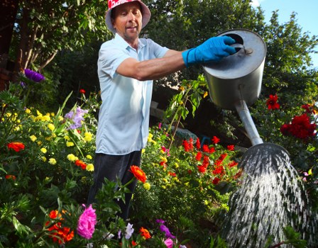 Choosing a hedge trimming service in Wimbledon