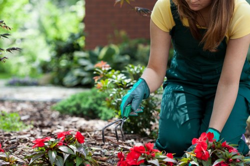 Stunning final landscape project by Wimbledon Landscapers in Wimbledon