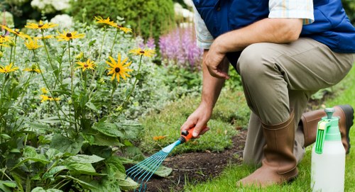 The image depicts a person kneeling on a well-maintained lawn in a garden, surrounded by a variety of flowering plants and shrubs. The individual is wearing beige gardening trousers, a blue shirt, and brown rubber boots, and is in the process of watering or tending to the plants with a small blue garden watering can. The garden features a mix of tall yellow flowers, possibly daisies or rudbeckia, alongside a bed of pink and purple flowers in the background, separated by a border of dark soil or mulch. To the right, a white garden sprayer is placed on the grass. The outdoor environment appears lush, with vibrant natural tones, and the scene is illuminated by natural daylight, suggesting good weather conditions. This visual emphasizes outdoor gardening activities suitable for professional landscaping and lawn care services offered by Landscapers Wimbledon, contributing to healthy, cultivated garden spaces within the Wimbledon area near postcode SW19.