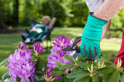 Eco-friendly lawn mowing practices in Wimbledon