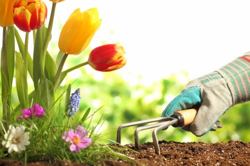 In a well-maintained residential garden, a gardener's gloved hand is using a hand cultivator to loosen dark, rich soil near a flower bed. The flower bed contains a variety of blooming plants, including vibrant yellow and red tulips, pink and purple primroses, and white daisies, creating a colorful border along the garden edge. In the background, there is a lush, green hedge and trees that provide natural privacy. The lawn is neatly mown with dense, evenly cut grass, and a paved patio area is visible behind the flower bed, indicating a landscaped outdoor space designed for leisure. Bright, natural daylight illuminates the scene, indicating a clear morning or afternoon, emphasizing the healthy, thriving flora and recent outdoor care activities. This image reflects typical gardening and landscaping practices found in Wimbledon, supporting lawn and garden maintenance services by Landscapers Wimbledon, focusing on enhancing outdoor spaces for local homeowners.