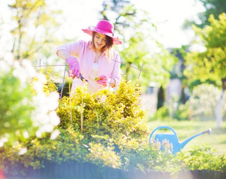 A woman tending to a well-maintained garden in a residential outdoor space, with a variety of lush green shrubs and small flowering plants organized along neat borders. The garden features a gravel or soil pathway, and a blue watering can is visible in the foreground, indicating ongoing plant care. Tall trees with vibrant green foliage backdrop the scene, allowing dappled sunlight to filter through and illuminate the garden. The woman, dressed in gardening attire with a wide-brimmed pink hat and gloves, is engaged in pruning or planting, demonstrating active garden maintenance. The natural palette includes various shades of green, complemented by the pink of her hat and the bright colours of the flowering plants. This scene, set during daylight hours with clear weather, showcases a cultivated outdoor area that reflects professional gardening and landscaping services typically offered by companies like Landscapers Wimbledon, especially within the SW19 postcode area, supporting local garden enhancement efforts.