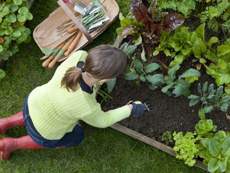 Choosing the right Wimbledon landscaping company