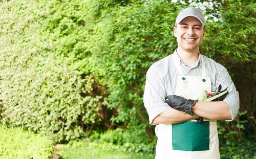 A professional gardener stands outdoors in a landscaped garden, with a background of lush green hedges and trees. The garden features a well-maintained lawn with dense, evenly cut grass and a neat border of flower beds and shrubs. The gardener, dressed in a light grey cap, striped shirt, and garden apron, smiles at the camera while holding pruning shears and a small gardening tool. The environment suggests a bright, possibly spring or summer day with natural daylight illuminating the scene, highlighting the natural tones of the greenery and the textures of the paving and plant foliage. The setting reflects a tidy and organized outdoor space, typical of professional gardening and lawn care services offered by Landscapers Wimbledon, catering to residential or commercial properties in the Wimbledon area or nearby postcode region, ensuring a visually appealing and healthy garden landscape.