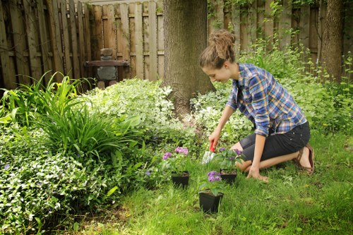 Seasonal garden maintenance activities in Wimbledon