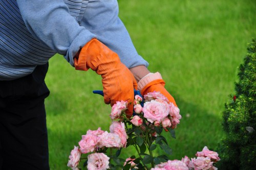 A gardener wearing a grey long-sleeved shirt and bright orange gardening gloves is pruning pink roses in a well-maintained garden. In the background, there is a neatly trimmed lawn with lush green grass and a small bush with dark green foliage. The garden features a mix of flower beds, paved pathways, and a variety of plants, indicating tidy outdoor landscaping typical of residential gardens in Wimbledon. The scene is illuminated by natural daylight, suggesting clear weather, and the gardener appears to be carefully tending to flowering shrubs, supporting professional gardening services offered by Landscapers Wimbledon in the SW19 postcode area.