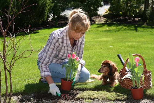A woman in a checkered shirt and light blue jeans is kneeling on a well-maintained green lawn in a garden, planting pink tulips in a terracotta pot. She is wearing gardening gloves and appears focused on her task, with a small brown puppy sitting attentively nearby. To her right, there is a wicker basket containing more flower pots with blooming pink tulips, placed on the grass. The garden features a lush, tidy lawn with a backdrop of mature trees and shrubs, creating a peaceful outdoor space typical of Wimbledon. The scene is illuminated by natural daylight, indicating clear weather with gentle sunlight. Visible plant beds with freshly turned soil, and the presence of garden tools and decorative elements suggest an ongoing gardening project. This setting exemplifies professional lawn care and planting services offered by Landscapers Wimbledon, emphasizing sustainable gardening practices and outdoor maintenance suitable for residential gardens in the area.