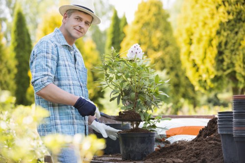 A man wearing a light-colored hat, plaid shirt, and gardening gloves is working outdoors in a well-maintained garden, planting a potted flowering shrub with white and purple blooms. The garden features a lush, green lawn in the foreground, bordered by a variety of plants and shrubs, with a backdrop of tall, dense trees that provide natural privacy and shade. The scene is brightly lit with natural sunlight, suggesting a clear day, and the overall environment appears tidy and cared for, reflecting professional gardening and landscaping standards. The garden's layout includes defined planting beds and an organized workspace, emphasizing outdoor maintenance and garden enhancement services available from Landscapers Wimbledon, serving the Wimbledon area and surrounding postcode regions.