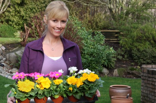 A woman with blonde hair, wearing a purple jacket and a white top, is standing outdoors in a garden during daytime, holding a tray of potted flowering plants with vibrant yellow, pink, and white blooms. Behind her, there is a lush, green landscape with a variety of shrubs, small trees, and a well-maintained lawn area. To her right, there are empty terracotta plant pots on a paved surface, and in the background, a wooden staircase leads up through the garden's foliage. The scene features natural light with a slightly overcast sky, highlighting the healthy, dense grass and the colourful flowers, reflecting a typical landscaped backyard that can be enhanced by expert gardening services in Wimbledon or the surrounding areas.