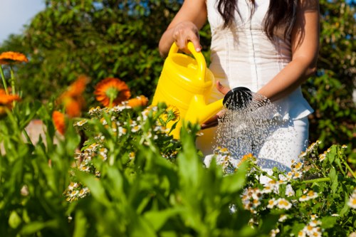 A woman in casual clothing is watering a garden bed with a yellow watering can, surrounded by a variety of flowering plants and green foliage. The garden features a lush, well-maintained lawn, with flower beds containing white and orange blossoms and small shrubs, set against a backdrop of taller hedge lines and mature trees. The paved pathway visible to the side is made of grey stone, providing a neat edge to the garden layout. Natural sunlight illuminates the scene, casting soft shadows and highlighting the vibrant colours of the flowers and foliage, suggesting a pleasant weather day. This outdoor space exemplifies a typical landscaped garden suitable for routine maintenance and care, aligning with gardening services offered by Landscapers Wimbledon and highlighting the importance of proper garden watering and plant care in a residential setting near Wimbledon, SW19 postcode.