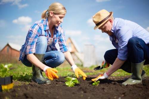 A woman and a man are working together in a garden, planting small plants into the freshly turned soil of a lush green lawn. The woman, wearing a blue plaid shirt, jeans, and orange gardening gloves, is kneeling on the grass, holding a small plant ready for planting. The man, dressed in a light blue shirt, dark trousers, and a straw hat, is also kneeling and gently placing a plant into the ground. Both are focused on their gardening task, with garden tools and a watering can visible nearby. The garden has a well-maintained lawn, bordered by a wooden fence and a row of shrubs, with a bright blue sky and some scattered clouds overhead, indicating a clear, sunny day. In the background, there are some houses and trees, suggesting a suburban setting. This scene exemplifies outdoor garden maintenance and planting, consistent with landscaping services offered by Landscapers Wimbledon in the Wimbledon area, particularly postcodes around SW19, emphasizing professional gardening and lawn care activities.