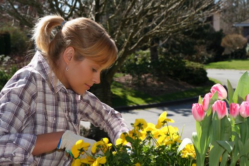 A woman wearing a plaid shirt and gardening gloves is tending to a flower bed in a residential garden in Wimbledon. She is leaning forward, inspecting or tending to yellow and pink tulips and other flowering plants, set against a backdrop of green foliage, trees, and a paved driveway. The garden features a neatly maintained lawn area, with a mix of flowering borders and shrubs, bordered by a low hedge or border edging. Sunlight illuminates the scene, indicating a clear day, with natural tones of green, yellow, pink, and brown throughout the landscape. The outdoor setting appears peaceful, well-maintained, and representative of local garden care practices by Landscapers Wimbledon, aligning with the area’s gardening and landscaping services.