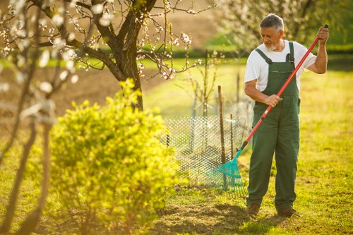 A middle-aged man wearing green gardening overalls and a white T-shirt is standing in a well-maintained backyard garden, holding a rake with a blue head and a red handle. He appears to be in the process of raking or tidying the garden soil near a small flowering tree with light pink blossoms. In the background, there is a neatly trimmed hedge, a wire fence, and a lush green lawn that extends across the garden area. The garden features a mixture of grassy patches and freshly turned soil, with natural sunlight illuminating the scene, suggesting a bright, clear day. The environment is peaceful and well-kept, indicative of professional gardening and landscaping services, such as those provided by Landscapers Wimbledon, specializing in outdoor maintenance and garden care in the Wimbledon area near SW19 postcode, enhancing the visual appeal and functionality of residential garden spaces.
