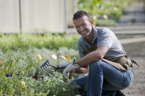 A man with short dark hair, wearing a grey shirt, blue jeans, and gardening gloves, is crouching in a garden bed. He is using a small rake or cultivator to tend to the soil and plants, which include leafy green vegetables or herbs. The garden features a neatly maintained grassy area in the background with a border of low shrubs or flower beds, and a wooden fence or shed behind the greenery. The environment appears well-lit with natural daylight, suggesting a clear, sunny day. This outdoor space illustrates a typical residential garden that could benefit from professional gardening services such as lawn care, planting, or maintenance, as offered by Landscapers Wimbledon, located near the SW19 postal district.